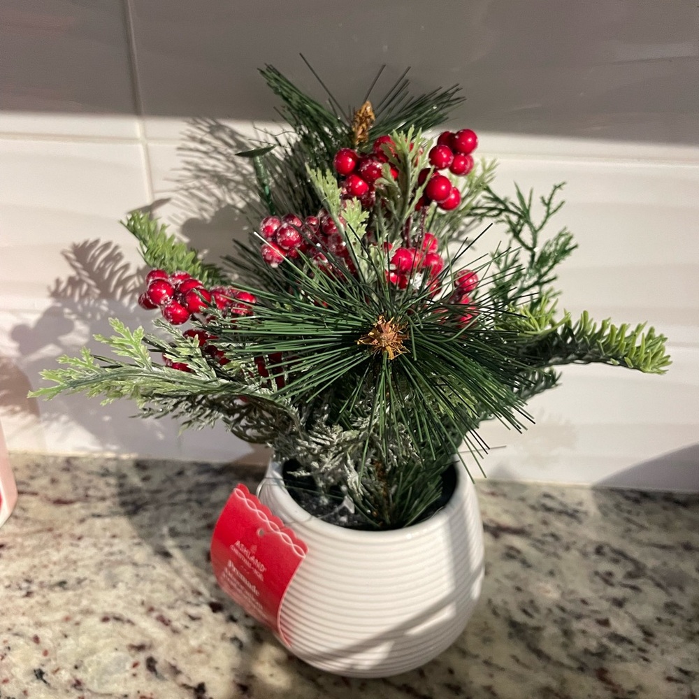 Holiday Pine and Red Berry Arrangement in White Ceramic Pot